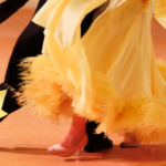 2023 CanAm DanceSport Gala Ballroom dance championships in Toronto, Ontario, hosting the North American Championships in international style, American style, ballroom dance and Latin dance on October 6th - 8th, 2023